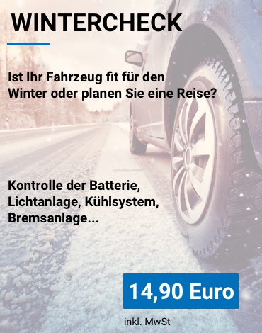 Angebot Wintercheck